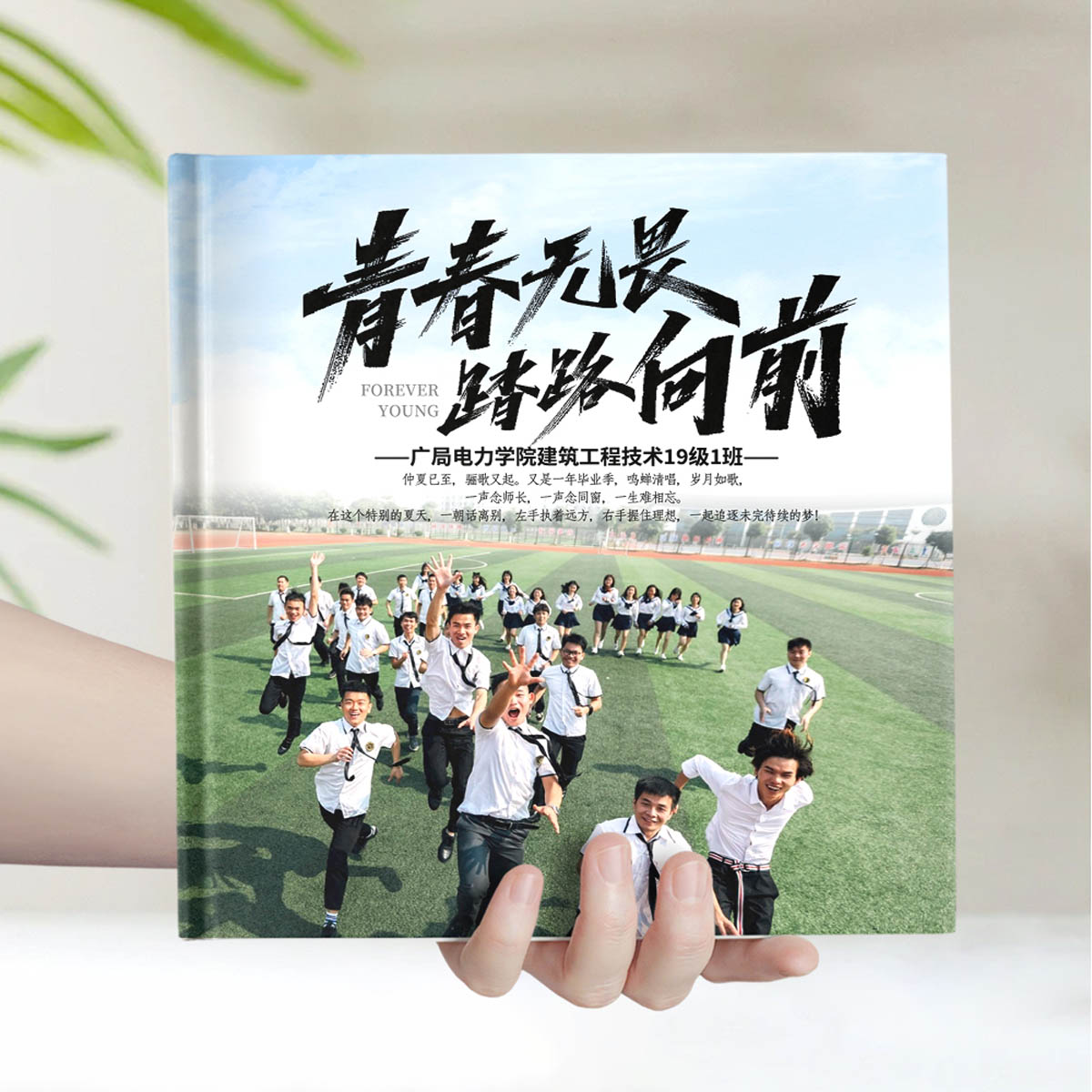 简约浅绿
