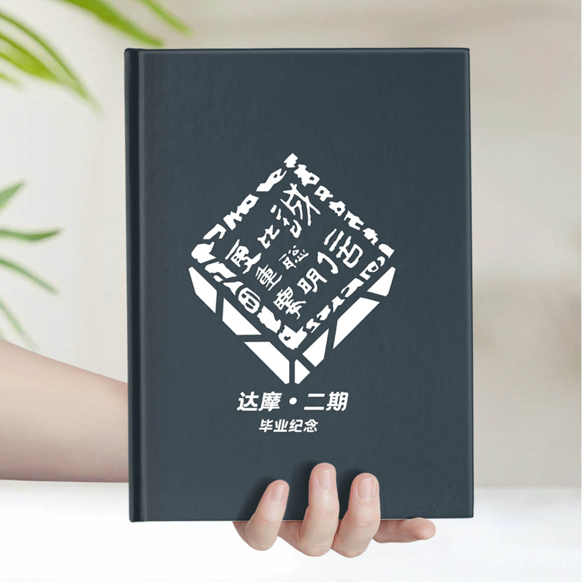 达摩二期品牌管理MBA